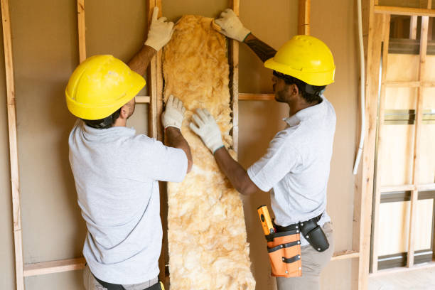 Insulation Air Sealing in Lyford, TX